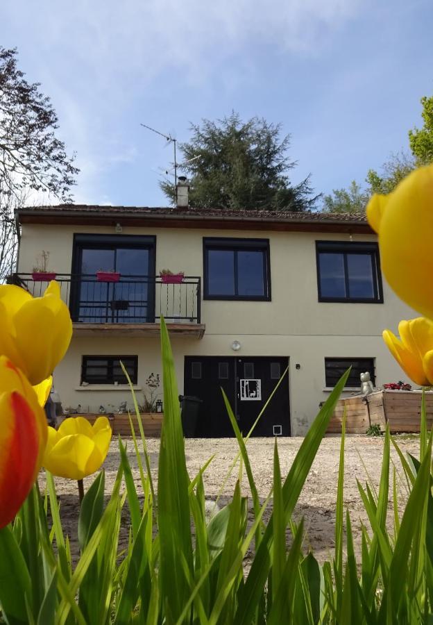 Chez Flo Et Marc Apartment Chouzy-sur-Cisse ภายนอก รูปภาพ