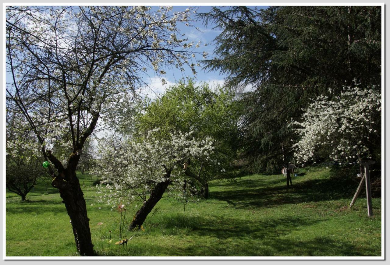 Chez Flo Et Marc Apartment Chouzy-sur-Cisse ภายนอก รูปภาพ