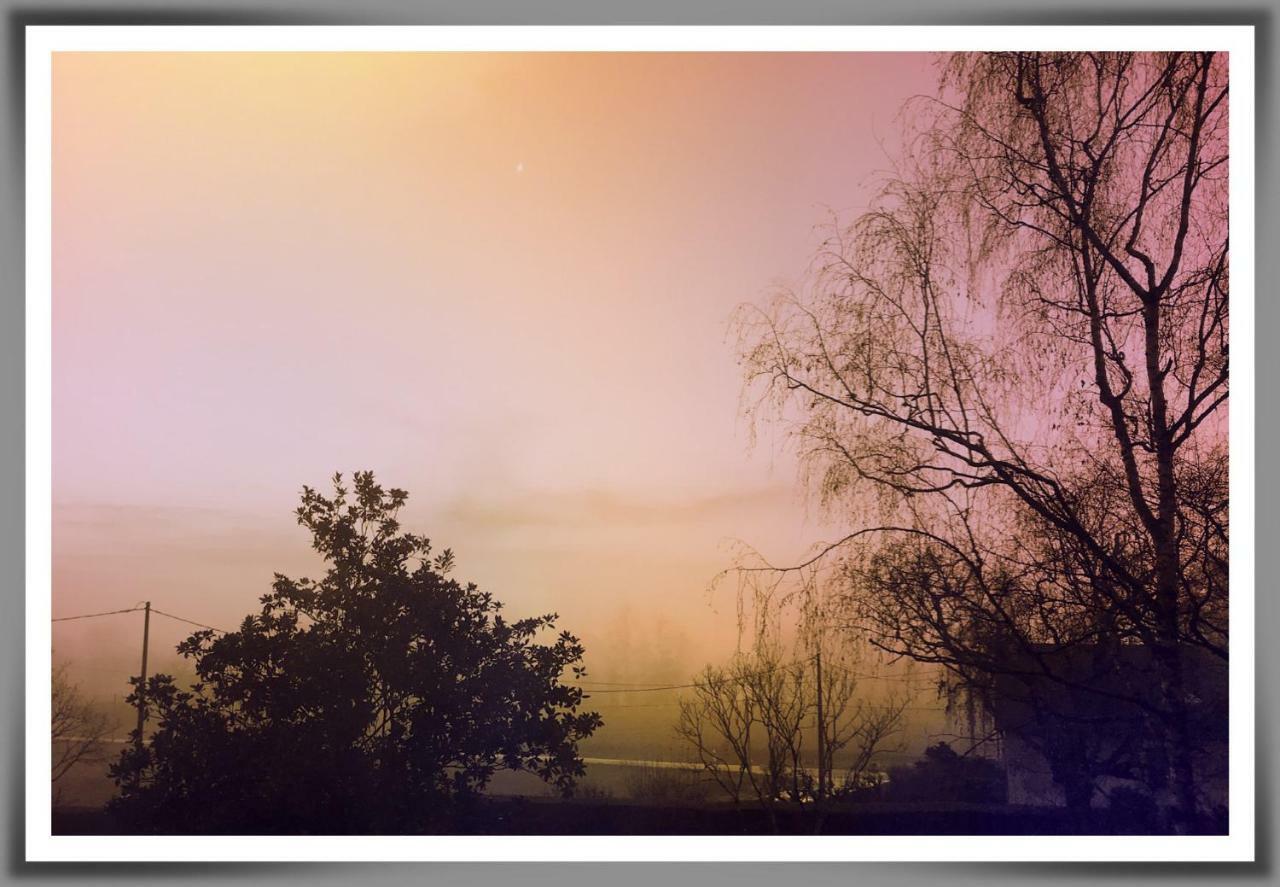 Chez Flo Et Marc Apartment Chouzy-sur-Cisse ภายนอก รูปภาพ